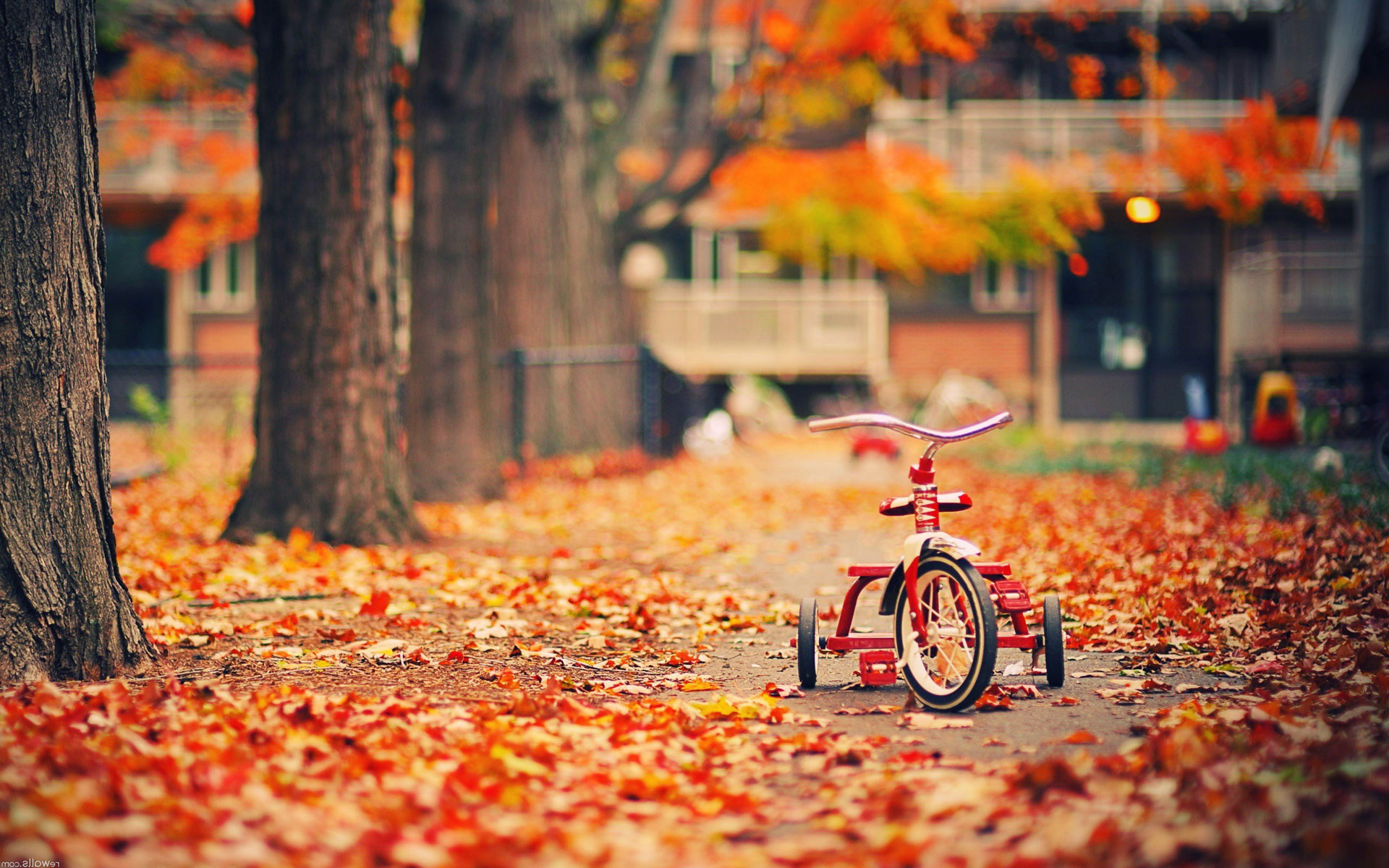 拥抱岁月歌曲,拥抱岁月