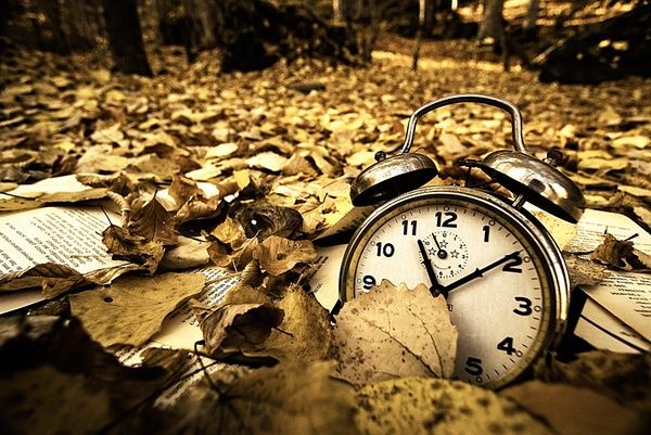 拥抱岁月歌曲,拥抱岁月