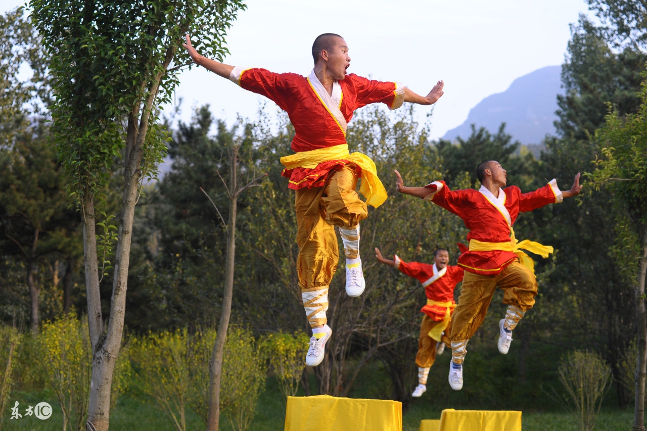 严手母子拳实战套路图解,母子拳擒拿术视频