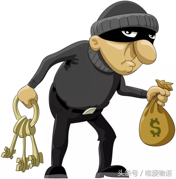 要做就做高智商窃贼