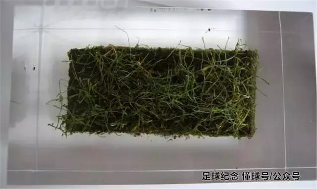 纪念足球礼物,伯纳乌球场草皮纪念品