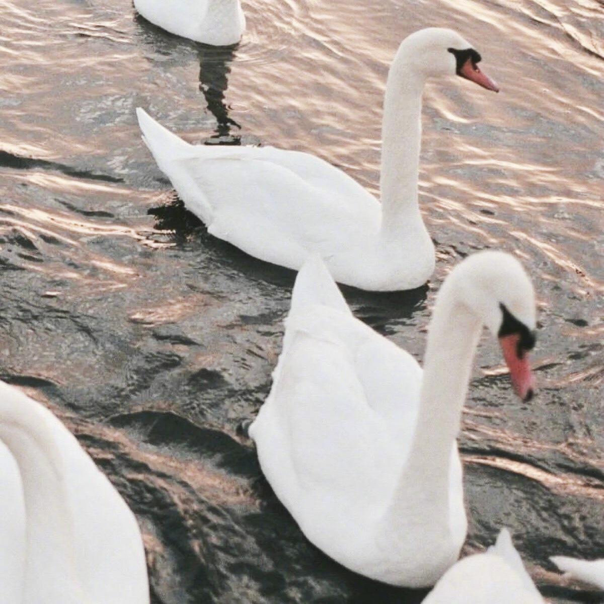 微信相册封面图片霸气励志,微信相册封面图片尺寸是多少