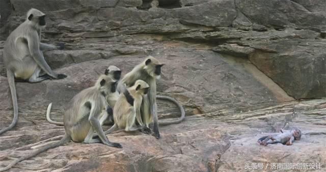 这34个间谍，每天只干一件事：*窥偷**！还拍成电影全球上映？