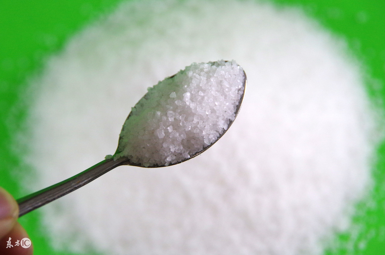 哈士奇不能吃什么食物,哈士奇可以随便吃东西吗