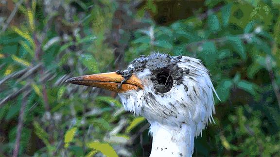 这34个间谍，每天只干一件事：*窥偷**！还拍成电影全球上映？