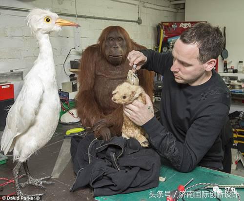 这34个间谍，每天只干一件事：*窥偷**！还拍成电影全球上映？