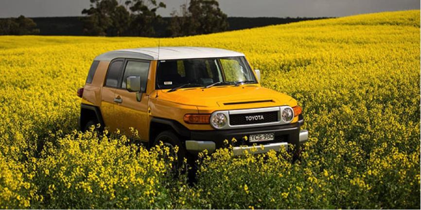 越野能力最强的十大越野车,世界上越野型最好的8种车