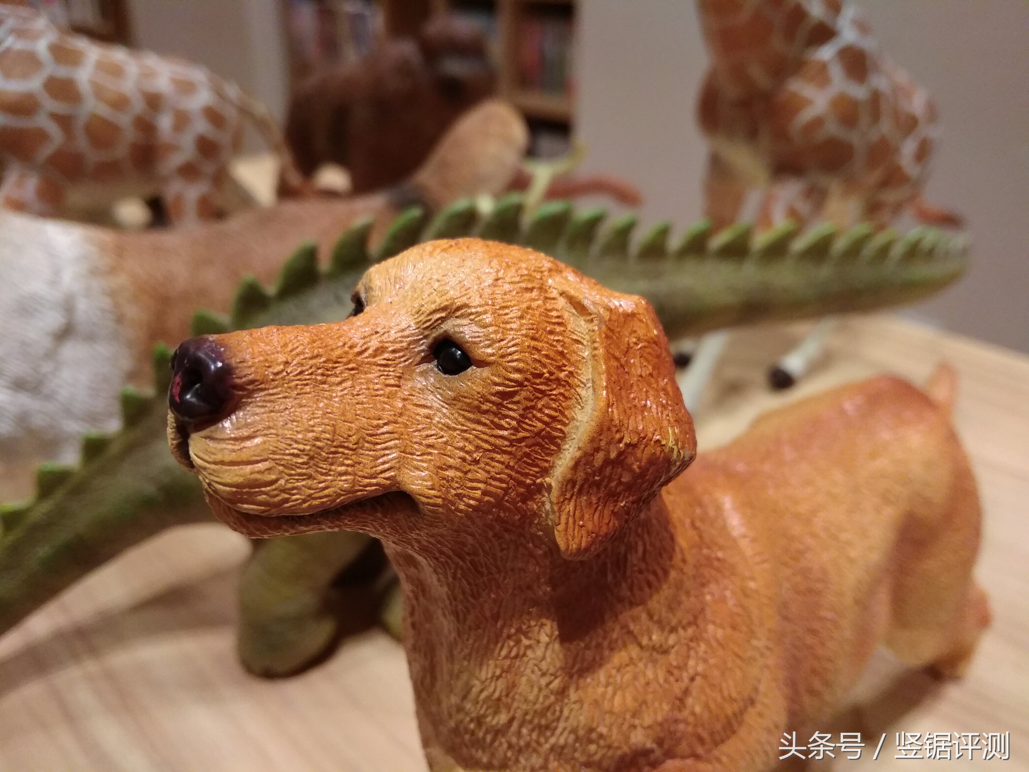 红米手机5a拍照方法,谁说百元机拍不了好照片