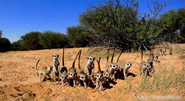 这34个间谍，每天只干一件事：*窥偷**！还拍成电影全球上映？