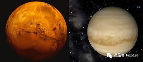 关于爱情婚姻及家庭的探讨,关于爱情与婚姻的思考