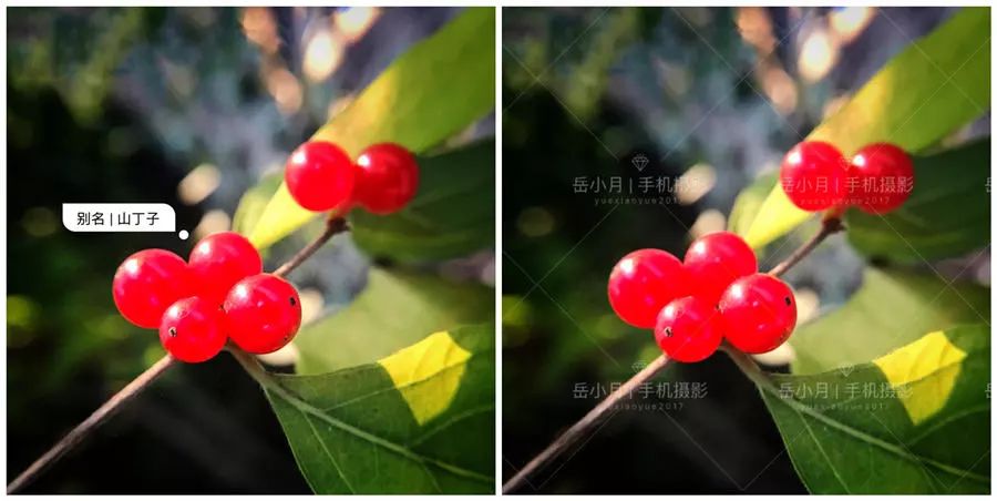 手机怎么给照片批量加水印,多张照片手机如何一次加水印