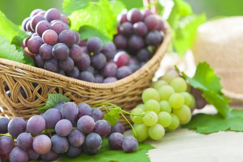 适合秋冬养生的水果,秋冬季节水果有哪些