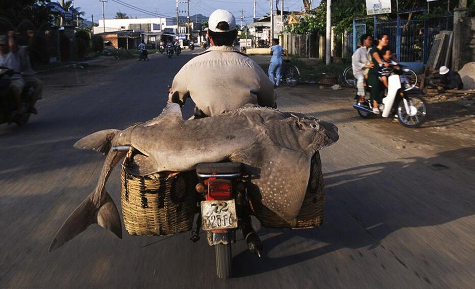 在越南骑摩托车游,越南人骑摩托车旅游中国