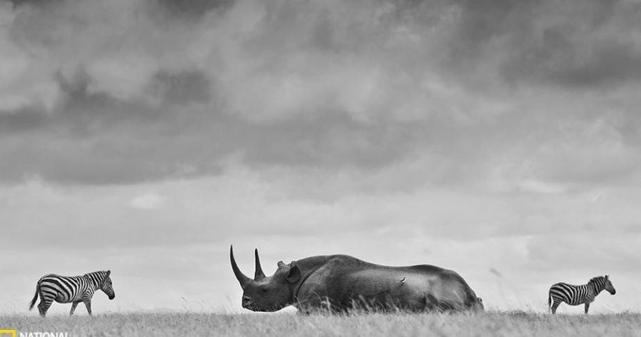 《纽约时报》评出玩转全球的热门景点！
