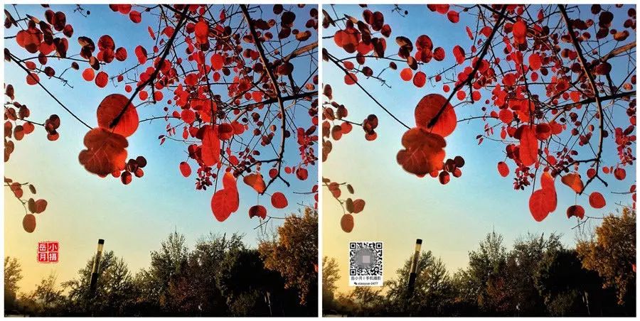 手机怎么给照片批量加水印,多张照片手机如何一次加水印