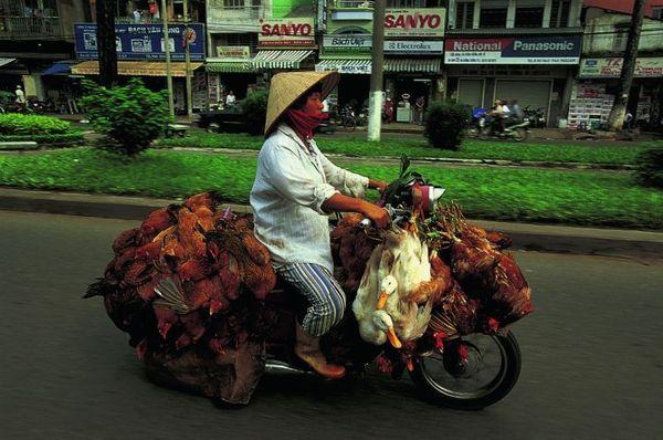 在越南骑摩托车游,越南人骑摩托车旅游中国