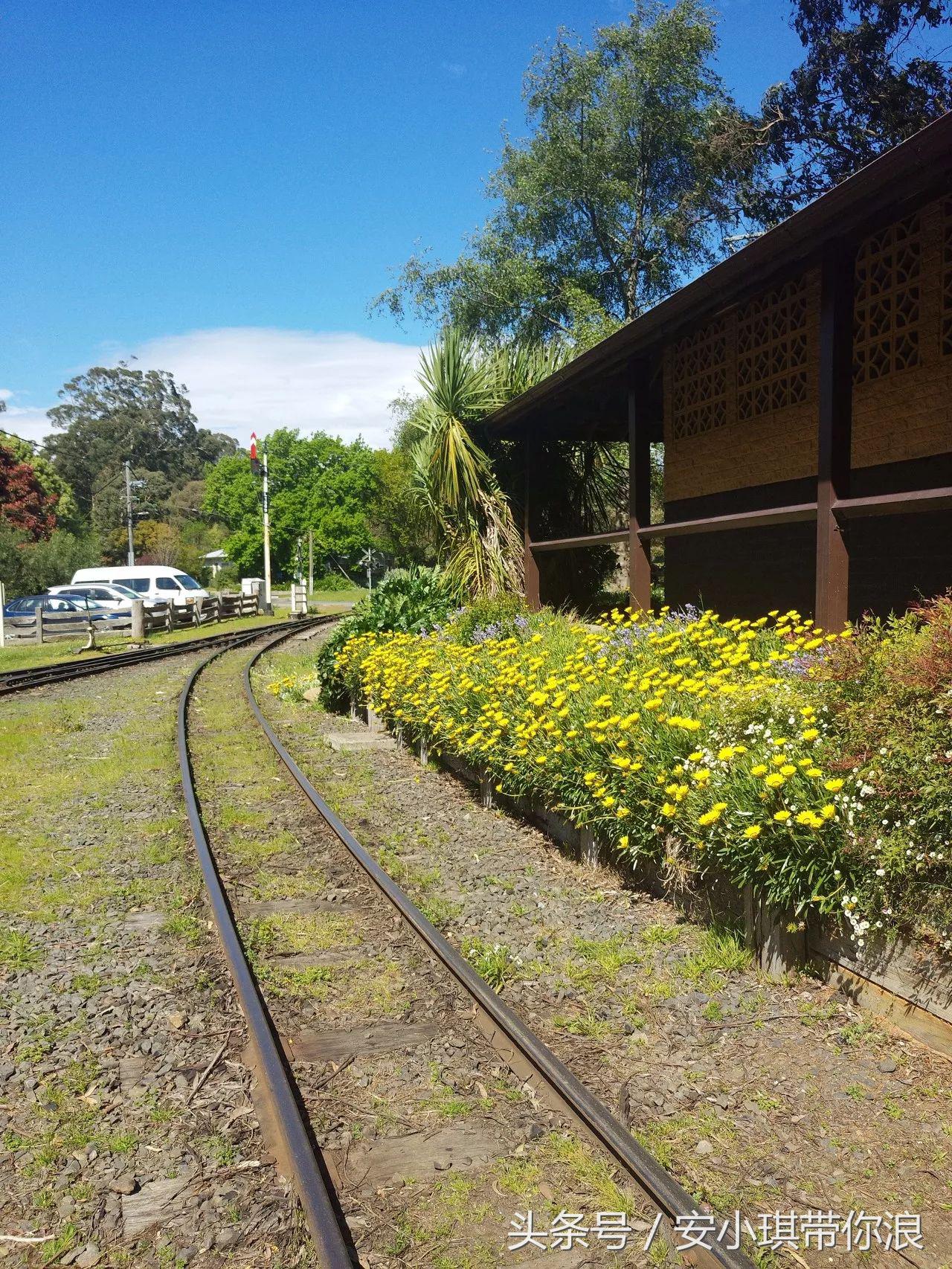 墨尔本四天三晚怎样玩,慢游全世界墨尔本