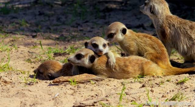 这34个间谍，每天只干一件事：*窥偷**！还拍成电影全球上映？