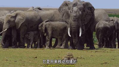 这34个间谍，每天只干一件事：*窥偷**！还拍成电影全球上映？