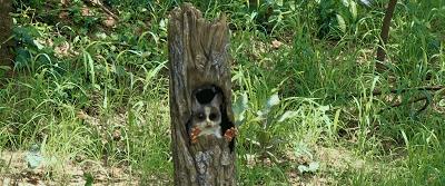 这34个间谍，每天只干一件事：*窥偷**！还拍成电影全球上映？