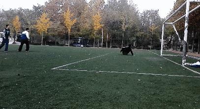 校园足球陈老师,踢足球陈老师