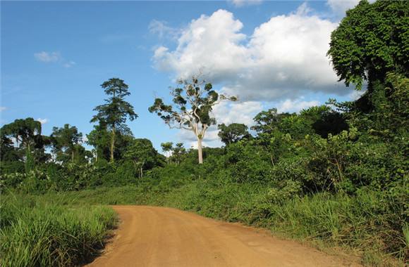《纽约时报》评出玩转全球的热门景点！