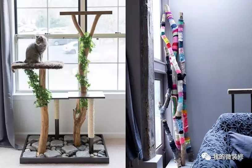 家里有一棵神树,家里有棵吉祥树