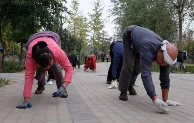 爬行真能治病吗,为什么爬行治疗百病