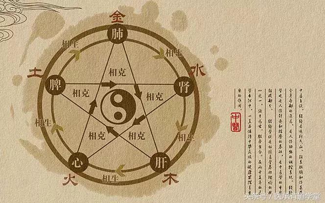 论脏腑辨证的方法,中医脏腑辨证系统归纳讲解视频