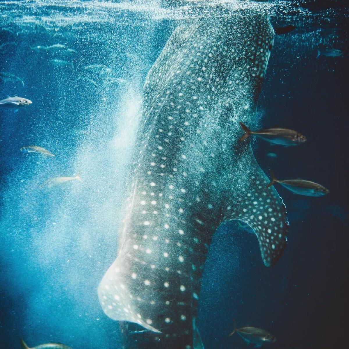 微信相册封面图片霸气励志,微信相册封面图片尺寸是多少