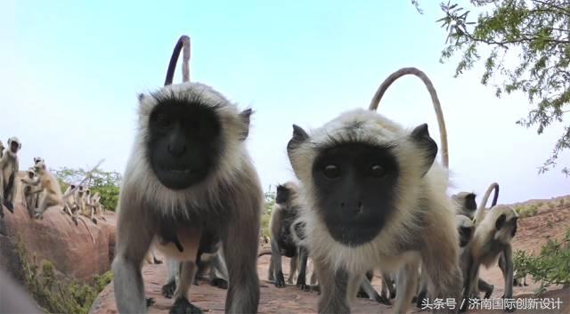 这34个间谍，每天只干一件事：*窥偷**！还拍成电影全球上映？