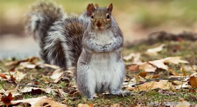 这34个间谍，每天只干一件事：*窥偷**！还拍成电影全球上映？