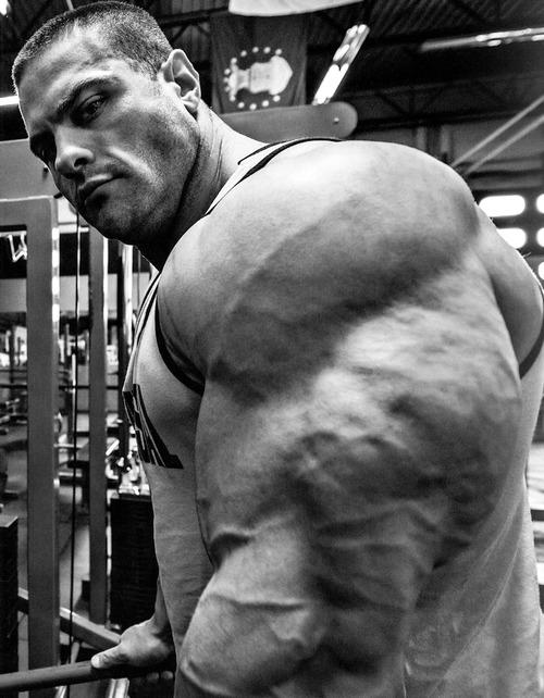 天天撸铁还不长肌肉，老铁，你大概方法用错了