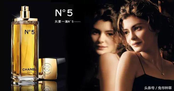 十大撩汉香水,十大斩男香水