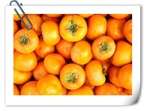 柿子不要贪吃,柿子勿贪多