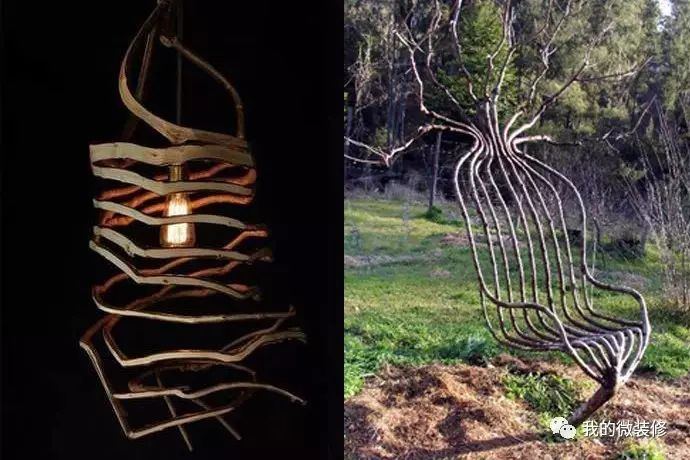 家里有一棵神树,家里有棵吉祥树