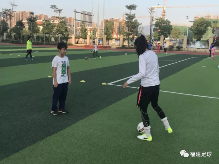 福建足球协会训练基地,福建省足协2024教练员