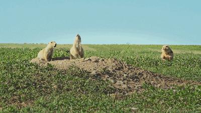这34个间谍，每天只干一件事：*窥偷**！还拍成电影全球上映？
