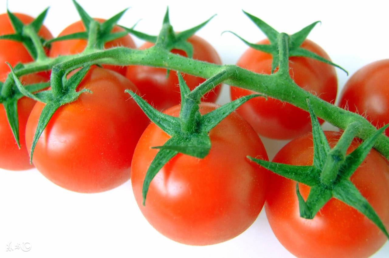 前列腺的克星,男人吃什么治疗乳腺癌