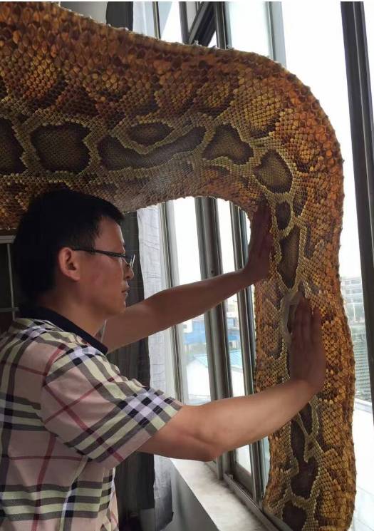 二胡琴皮怎么算几格,琴皮有怪鳞的二胡质量有问题吗