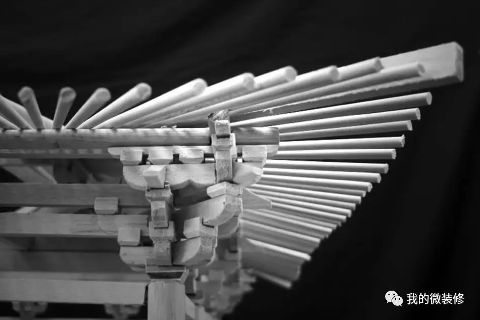 家里有一棵神树,家里有棵吉祥树