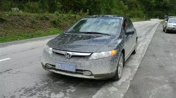 柏油清洗剂可以去除树胶鸟屎印吗,不伤车漆的去胶方法