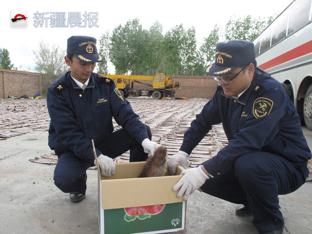 晨看*疆新**｜宠妻狂魔每天为老婆做花式便当；“网红”餐厅席卷乌市