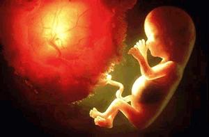 孕囊大小能判断双胎,孕囊大小看d1还是d2