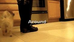 抱紧我你就不冷啦，暖心汪星人就是这么关心自己的主人！