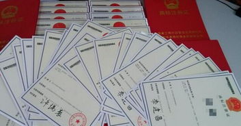 如何保护商标与品牌,品牌商标注册后怎么保护