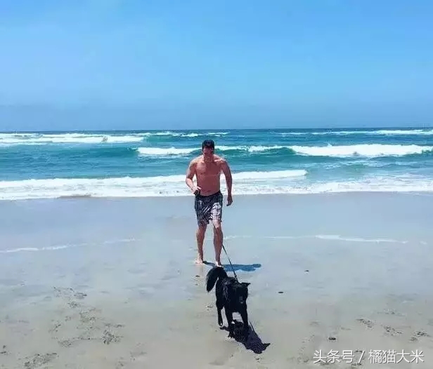 我们本国狗有哪些,中国的狗和外国的狗哪个更乖