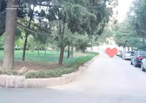 新闻济南七中,济南七中地址