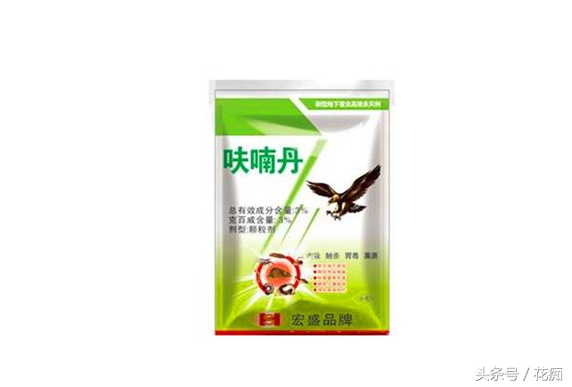 赶尽杀绝杀虫剂,如何赶尽杀绝白蚁