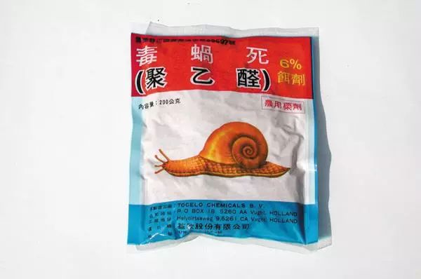 家里盆栽叶子长虫子怎么办,院子里的叶子被虫子吃了怎么办